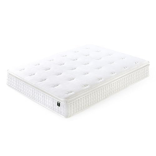 Queen Mattress, 13 Inch Euro Top Hybrid Bed in a Box with Pocket Springs, Pressure Relief & Motion Isolation