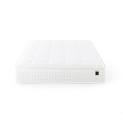 Queen Mattress, 12 Inch Euro Top Hybrid Bed in a Box with Pocket Springs, Pressure Relief & Motion Isolation