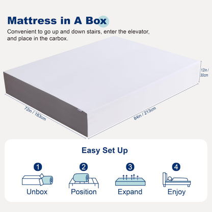 14 Inch Queen Memory Foam Mattress | Gel Foam with Transition Support | Machine Washable Cover