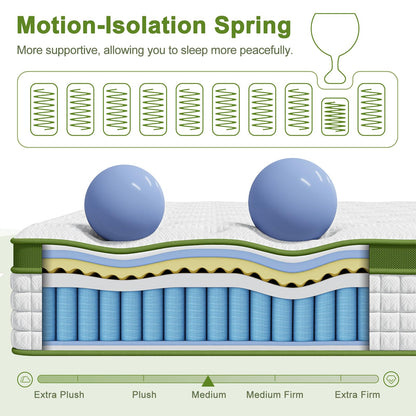ZINUS 12 Inch Green Tea Essential Memory Foam Mattress, Queen, Medium Feel, Fiberglass-Free, Breathable Airflow Foam, Certified Safe, Mattress in a Box